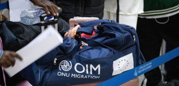 تونس : 5336 مهاجرا يعودون طوعيا إلى بلدانهم الأصلية خلال 7 أشهر تونس : 5336 مهاجرا يعودون طوعيا إلى بلدانهم الأصلية خلال 7 أشهر