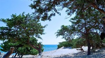 كاب سيراط: سكان دوار هنشير الغيران يستنجدون برئيس الجمهورية كاب سيراط: سكان دوار هنشير الغيران يستنجدون برئيس الجمهورية