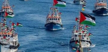 خارجية نتنياهو تدعو اسطول الصمود ايداعها الإعانات، نوار يرد (وثيقة)