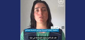 أنس جابر حول دور برنامج الأغذية العالمي في غزة (فيديو)