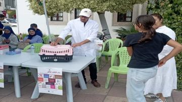 منزل بوزلفة : إقبال كبير من المواطنين على يوم مفتوح للتلقيح ضد داء الكلب منزل بوزلفة : إقبال كبير من المواطنين على يوم مفتوح للتلقيح ضد داء الكلب