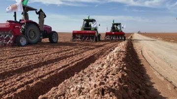 موسم الزراعات الكبرى: توفير ضعف الكميات من البذور الممتازة موسم الزراعات الكبرى: توفير ضعف الكميات من البذور الممتازة