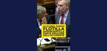 الكرباعي: برلمان إيطاليا يستمع لوزير الخارجية في شأن الاعتداء على اسطول الصمود العالمي