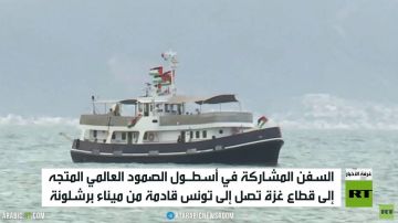 أسطول الصمود العالمي يصل إلى تونس