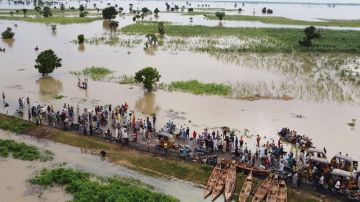 نابل: الانطلاق في معاينة المستغلات الفلاحية المتضررة من الفيضانات الأخيرة