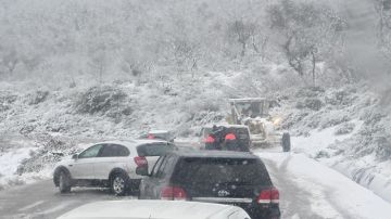 الليلة: أمطار غزيرة مع تساقط البرد والثلوج الليلة: أمطار غزيرة مع تساقط البرد والثلوج