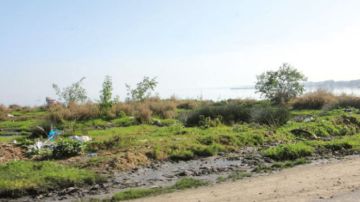 عضو بالمكتب التنفيذي لاتحاد الفلاحين: تسجيل أضرار فلاحية خاصة بولايتي نابل وزغوان