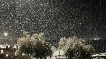 بداية تساقط الثلوج بمرتفعات تالة ومكثر وأمطار بولايات الشمال بداية تساقط الثلوج بمرتفعات تالة ومكثر وأمطار بولايات الشمال