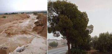 الوضع الجوي: وزارة الفلاحة تدعو الى الالتزام بأقصى درجات الحذر في عدة جهات و منها تونس الكبرى