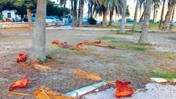 المهدية ..تعاني من الإهمال منذ سنوات ...متى يعود لحديقة ساحة الفنون بريقها؟ المهدية ..تعاني من الإهمال منذ سنوات ...متى يعود لحديقة ساحة الفنون بريقها؟