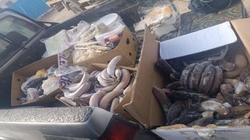 تاجروين.. حجز مواد غذائية غير صالحة للاستهلاك تاجروين.. حجز مواد غذائية غير صالحة للاستهلاك