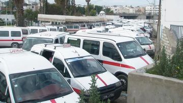 المهدية: إسناد 40 رخصة لواج جديدة