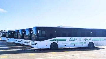 شركة النقل بين المدن تعزز أسطولها بـ10 حافلات جديدة شركة النقل بين المدن تعزز أسطولها بـ10 حافلات جديدة