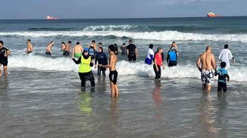 بنزرت .. بمشاركة حوالي 200 محب للسباحة والمغامرة .. شواطئ عروس الشمال تحتفي بدخول العام الجديد بنزرت .. بمشاركة حوالي 200 محب للسباحة والمغامرة .. شواطئ عروس الشمال تحتفي بدخول العام الجديد