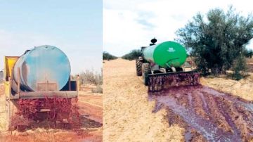 من مخلف فلاحي إلى مورد بيئي .. الشعال يعزز خصوبة التربة عبر تثمين المرجين