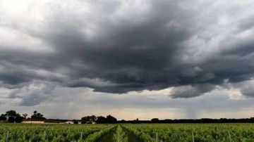 طقس اليوم.. الحرارة في انخفاض طفيف طقس اليوم.. الحرارة في انخفاض طفيف