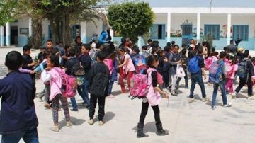 ولاية تونس: استئناف الدروس بكافة المؤسسات التربوية باستثناء هذه المدرسة ولاية تونس: استئناف الدروس بكافة المؤسسات التربوية باستثناء هذه المدرسة