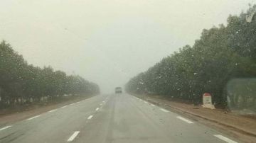 تحسن تدريجي للوضع بنابل ورفع نسق التدخلات بعد تراجع منسوب المياه 