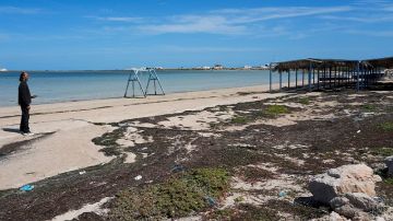 جمعية بيئية: الشواطئ التونسية بصدد التآكل