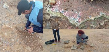 نابل معهد التراث: التحول إلى موقع. Missua بالهوارية لصيانة الفسيفساء نابل معهد التراث: التحول إلى موقع. Missua بالهوارية لصيانة الفسيفساء