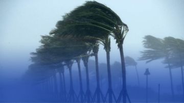 بسبب الرياح القوية.. والي سوسة يدعو المواطنين إلى تفادي الخروج إلا للضرورة القصوى