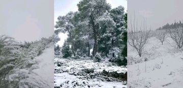 صورة اليوم: نقلا عن مرصد الطقس و المناخ من القصرين بعدسة رمزي بن رابح ونيسي