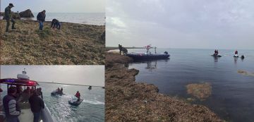 العثور على جثة ثانية لبحارة طبلبة المفقودين في جزيرة قوريا