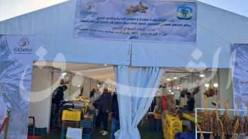 نابل.. خيمة لبيع التمور من المنتج إلى المستهلك 