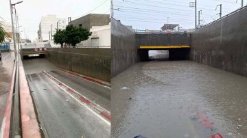 بن عروس: عودة حركة المرور على مستوى الممر التحتي وسط مدينة رادس بن عروس: عودة حركة المرور على مستوى الممر التحتي وسط مدينة رادس