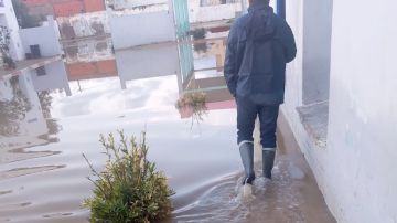 قرمبالية:تواصل تعليق الدروس بالمدرسة الابتدائية بنوال بسبب تراكم مياه الأمطار قرمبالية:تواصل تعليق الدروس بالمدرسة الابتدائية بنوال بسبب تراكم مياه الأمطار