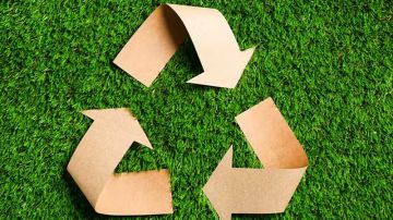 بقيمة 500 ألف دينار ... نحو تعزيز مركز تثمين النفايات الخضراء وإنجاز المركب الإيكولوجي بالعين