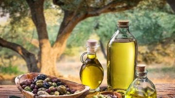 عائدات زيت الزيتون التونسي تتجاوز 4 مليارات دينار إلى موفى سبتمبر عائدات زيت الزيتون التونسي تتجاوز 4 مليارات دينار إلى موفى سبتمبر