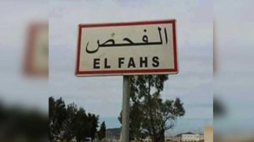 الفحص ... مطالب بتسريع المنطقة الصناعية وإحداث مستشفى جهوي وتثمين الثروات الطبيعية الفحص ... مطالب بتسريع المنطقة الصناعية وإحداث مستشفى جهوي وتثمين الثروات الطبيعية