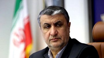 رئيس منظمة الطاقة الذرية الإيرانية: لن نتخلى عن تخصيب اليورانيوم رئيس منظمة الطاقة الذرية الإيرانية: لن نتخلى عن تخصيب اليورانيوم