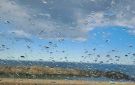 طقس اليوم: أمطار متفرقة بهذه المناطق