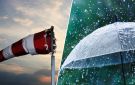 نشرة متابعة: أمطار غزيرة مع رياح قوية بهذه الولايات