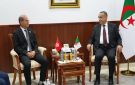 تونس والجزائر تبحثان إنجاز محطة كهرباء بتقنية الدورة المركبة