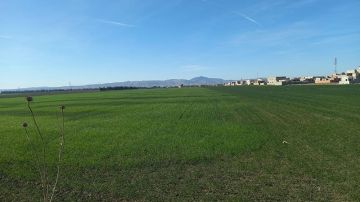 جندوبة: نقص مادة الأمونيتر يثير قلق الفلاحين.. ومنظمتهم تطالب بالتدخل جندوبة: نقص مادة الأمونيتر يثير قلق الفلاحين.. ومنظمتهم تطالب بالتدخل