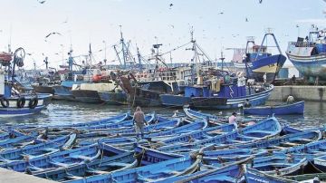 صفاقس.. لجنة الفلاحة البرلمانية تعاين أوضاع موانئ الصيد وتبحث عن حلول صفاقس.. لجنة الفلاحة البرلمانية تعاين أوضاع موانئ الصيد وتبحث عن حلول