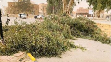 بسبب الرياح القوية.. سقوط عدد الأشجار و الأعمدة الكهربائية بمناطق مختلفة من ولاية قبلي 