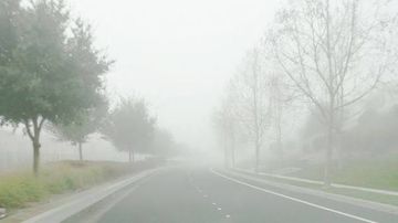 طقس اليوم: ضباب صباحا والحرارة في ارتفاع طقس اليوم: ضباب صباحا والحرارة في ارتفاع