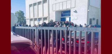 الأردن اليوم: طوابير طويلة لشراء زيت الزيتون التونسي (فيديو) الأردن اليوم: طوابير طويلة لشراء زيت الزيتون التونسي (فيديو)