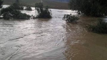 منوبة: انخفاض منسوب ميـاه وادي مجردة بعد أن شهد ارتفاعا مهما يوم أمس