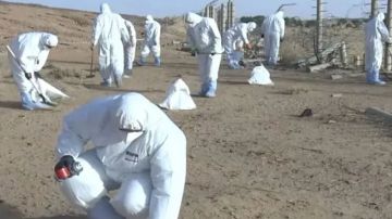 الجزائر تطلق أول عملية تطهير لموقع تفجيرات نووية فرنسية 