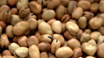 جربة: الكشف عن محل يطبخ فول الأعلاف ويقدمه للمستهلكين جربة: الكشف عن محل يطبخ فول الأعلاف ويقدمه للمستهلكين