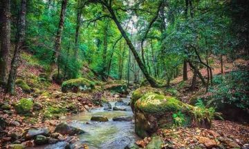 من توقعات معهد الرصد الجوي للساعات القادمة، تقلص نسبي في هبوب الرياح من توقعات معهد الرصد الجوي للساعات القادمة، تقلص نسبي في هبوب الرياح