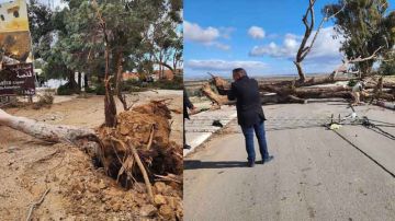 القيروان ... رياح عاتية... أضرار بالجملة والحماية المدنية تستنفر القيروان ... رياح عاتية... أضرار بالجملة والحماية المدنية تستنفر