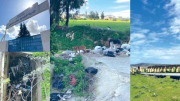 غريب في منوبة .. هذه حكاية بائعة قبور الأحياء في صنهاجة غريب في منوبة .. هذه حكاية بائعة قبور الأحياء في صنهاجة