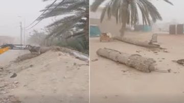 وزارة التجهيز تواصل تدخلاتها وتعيد فتح الطرقات المتضررة من التقلبات الجوية