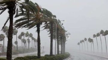 معهد الرصد الجوي.. امطار غزيرة ورياح قوية جدا بهذه المناطق معهد الرصد الجوي.. امطار غزيرة ورياح قوية جدا بهذه المناطق